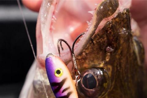News & Tips: How to Catch Late Summer Walleyes With Shiver Minnows (video)...