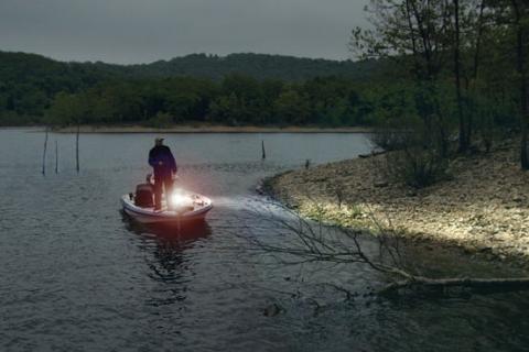 News & Tips: 5 Tips to Get Live Fish Bait for Free