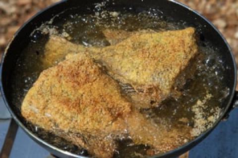 News & Tips: A Simple Guide to Frying Fresh Fish at Camp...
