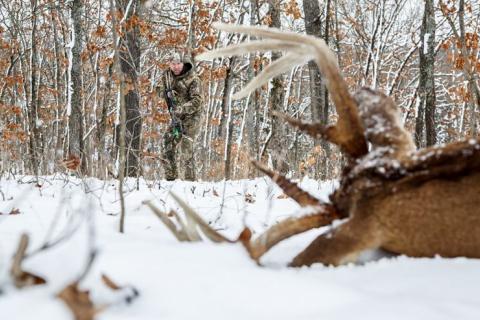 News & Tips: Taxidermy: How to Care for Deer You Plan to Mount...