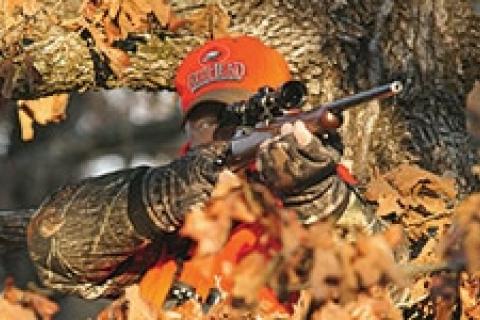 News & Tips: Expert Advice on Choosing the Ultimate Deer Gun...