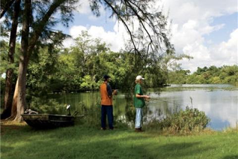 News & Tips: Shady Ways to Catch Bass on a Hot Day