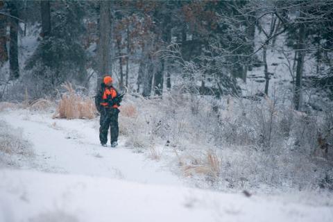 News & Tips: 17 Signs From Nature That Can Help You Predict the Weather (video)...