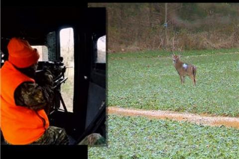 News & Tips: Perfect Combination For Deer Hunting: Cold Weather and Rut Action!   (video)...