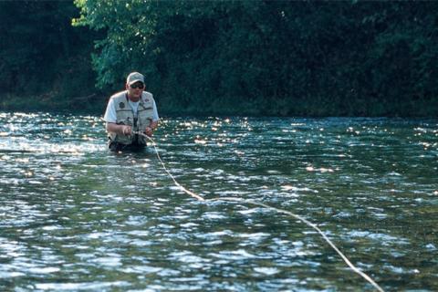 Angler fly casting