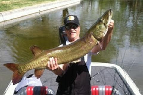 News & Tips: Light Tackle Muskies?