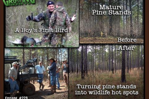 News & Tips: Turkey Hunting in the Pines
