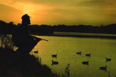 News & Tips: 8 Types of Confidence Decoys for Duck Hunting...