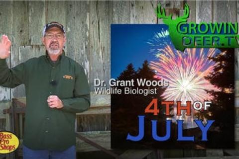 News & Tips: A New Buck and Storm Proofed Food Plots (video)...