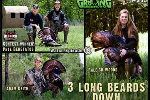 News & Tips: Turkey Hunting: Changing Strategies Pays Off, 3 Birds Down (video)...