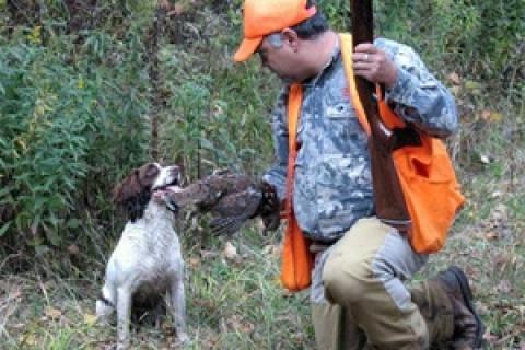 Grouse hunter and dog