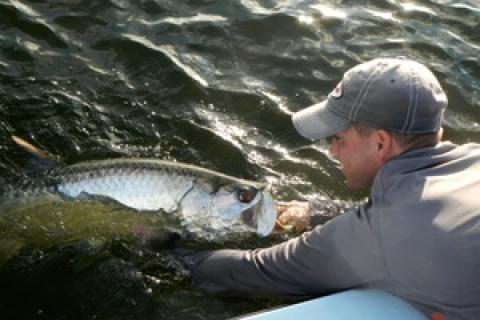 News & Tips: Light Tackle Tarpon Tactics