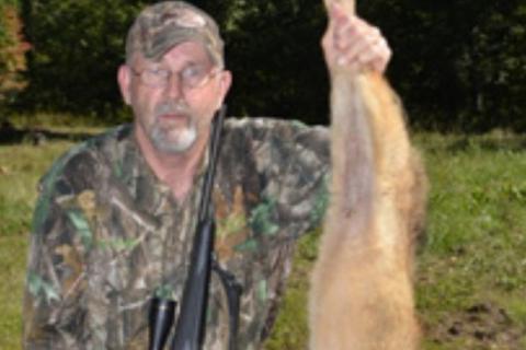 News & Tips: Tips for Hunting Early Fall Coyotes