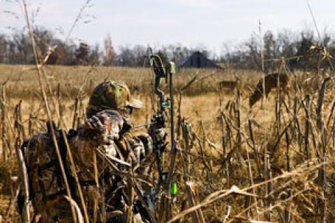 News & Tips: Countdown to Bow Season: Critique Last Year, Prepare for This Year...