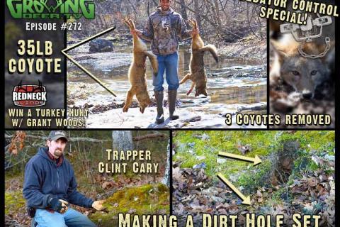 News & Tips: How To Make A Dirt Hole Set: Trapping Coyotes (video)...