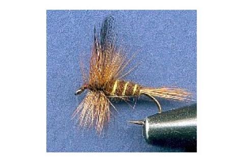 News & Tips: Fly Proportions - Dry Flies
