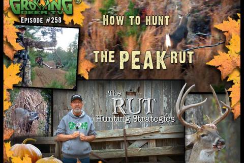 News & Tips: Hunting The Rut: Prime Time for Deer Hunting! (video)...