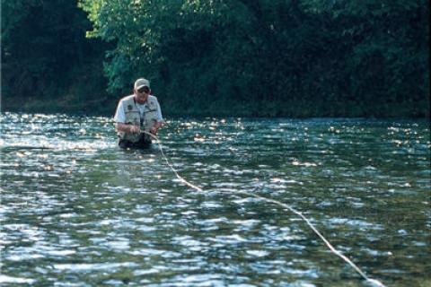 News & Tips: Spinning Deer Hair: Create Cool Looking Flies That Catch Fish...