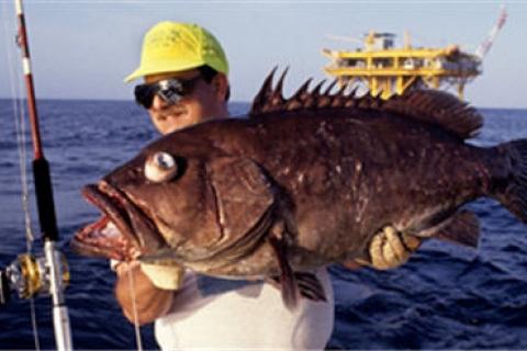 News & Tips: Probing the Ocean Depths With Deep Droppers...