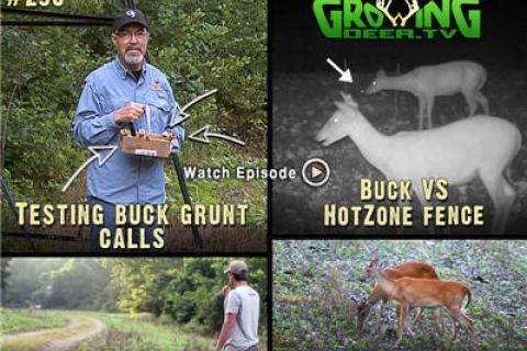 News & Tips: Choosing Deer Grunt Calls & Food Plot Mystery Solved (video)...