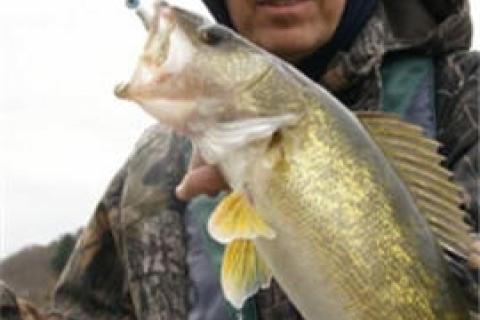 News & Tips: Fishing Fall Walleyes From Smaller Rivers...