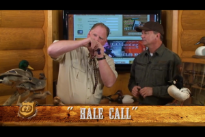 1Source Video: Bring More Mallards to the Blind with this Duck Calling Sequence