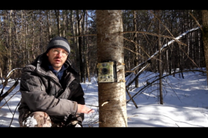 1Source Video: Trail Camera Tips and Tactics