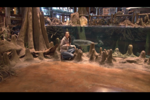 1Source Video: Pampered Fish at Bass Pro Shops Aquariums