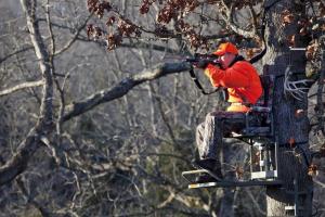 News & Tips: Tree Stand Safety Featured on Bass Pro Shops Outdoor World Radio...