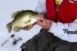 News & Tips: Ice Fishing: Tips for Winter Crappie