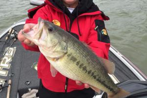 Braggin' Board Photo: Vannetta's Big Bass 5 1/2 lbs on Table Rock Lake