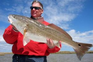 Braggin' Board Photo: Redfish Cajunryanredfish