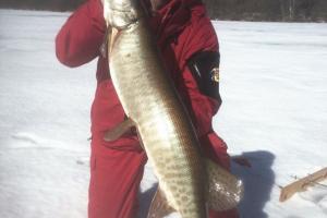 Braggin' Board Photo: Nice Muskie