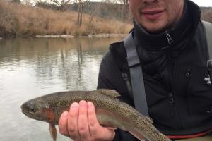 Braggin' Board Photo: Rainbow Trout