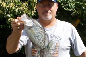 Braggin' Board Photo: Crappie 13 1/2 inches