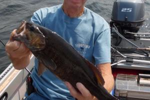 Braggin' Board Photo: 19 inch bass