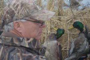 Braggin' Board Photo: Mallard Duck, Missouri DSC 0006