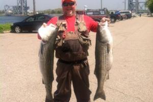 Braggin' Board Photo: 30 lbs striped bass