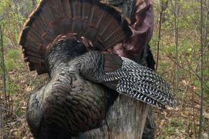 Braggin' Board Photo: Rich LaValley, 18 lb Turkey
