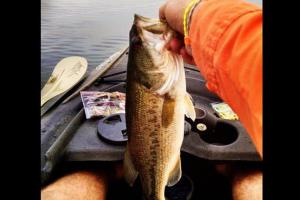 Braggin' Board Photo: Fishing Largemouth Bass Ascend Kayak