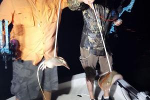 Braggin' Board Photo: Bowfishing with Captain Ike