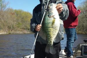 Braggin' Board Photo: Kenny's Crappie