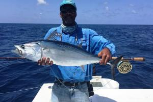 Braggin' Board Photo: Nice Mackerel Catch