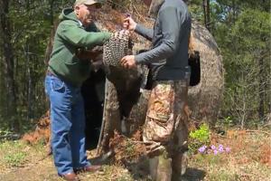 Braggin' Board Photo: Me and my dad turkey hunting