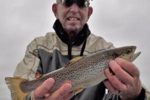 Braggin' Board Photo: 14 inch Brown Trout