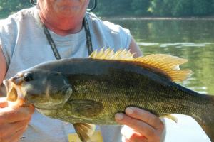 Braggin' Board Photo: Smallie in low water.