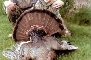 Braggin' Board Photo: Tate's 1st Turkey