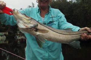 Braggin' Board Photo: Punta Gorda Snook