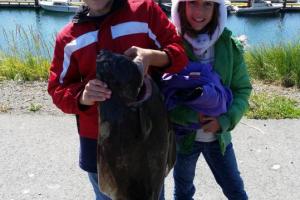 Braggin' Board Photo: Catching Halibut