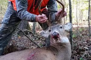 Braggin' Board Photo: Big GA 8-point